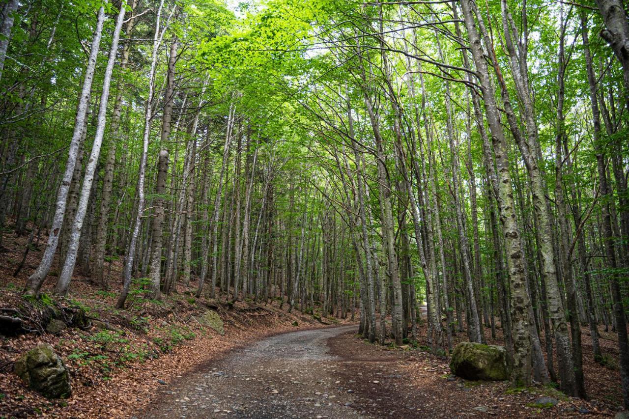 Mansarda Villa Adele Santo Stefano dʼAveto Esterno foto